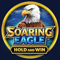 Soaring Eagle game cover